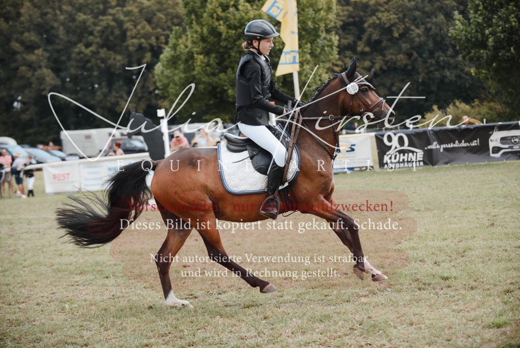 DSC_5435 | Pferde- und Turnierfotografie in Westsachsen. Pferdeportraits, Auftragszeichnungen und intuitive Kunst.