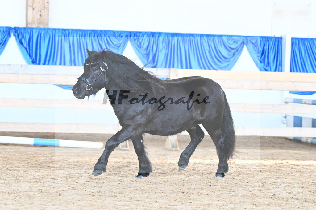 Kat-Nr. 19 Wattan von Neuhaeusler v. Wolfgang v d Roemer_Baumann_9260504 | hf-fotografie - Realisiert mit Pictrs.com