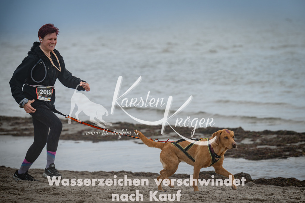 1148_ZZ91527 | kk-dogfotos