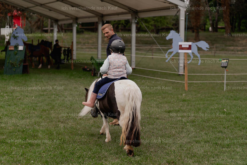Showprogramm-181 | working equitationturnier fotograf videograf stoibphotography marixx film working equitation deutschland reitsport turnierfotografie eventfotografie equestrian events