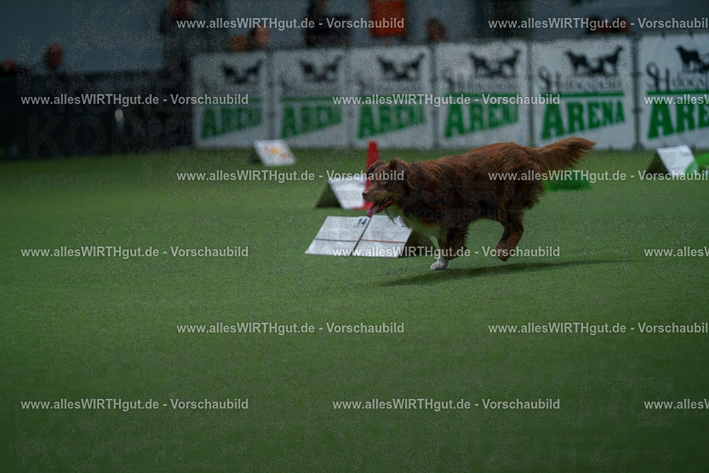 7R500868 | Professionelle Tierfotografie in Mönchengladbach von Daniel Wirth (allesWIRTHgut). Liebevolle & natürliche Bilder von Hunden & Katzen für unvergessliche Erinnerungen.