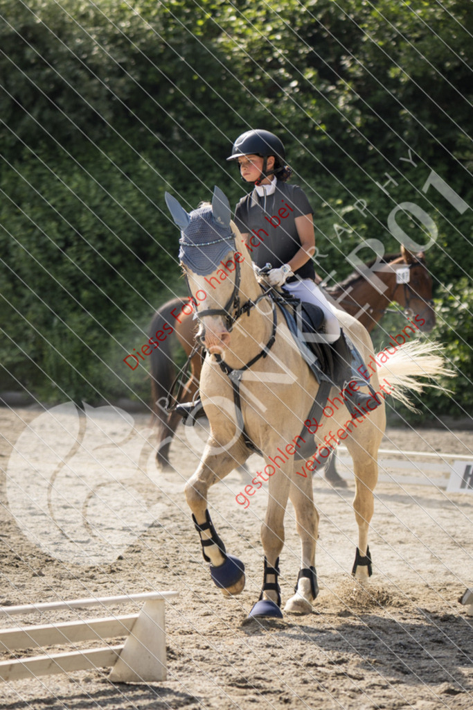 IMG_5808 | Sport-, Event- und Tierfotos in Profiqualität. Einfach auswählen, bestellen und herunterladen. Dein Moment – perfekt festgehalten.