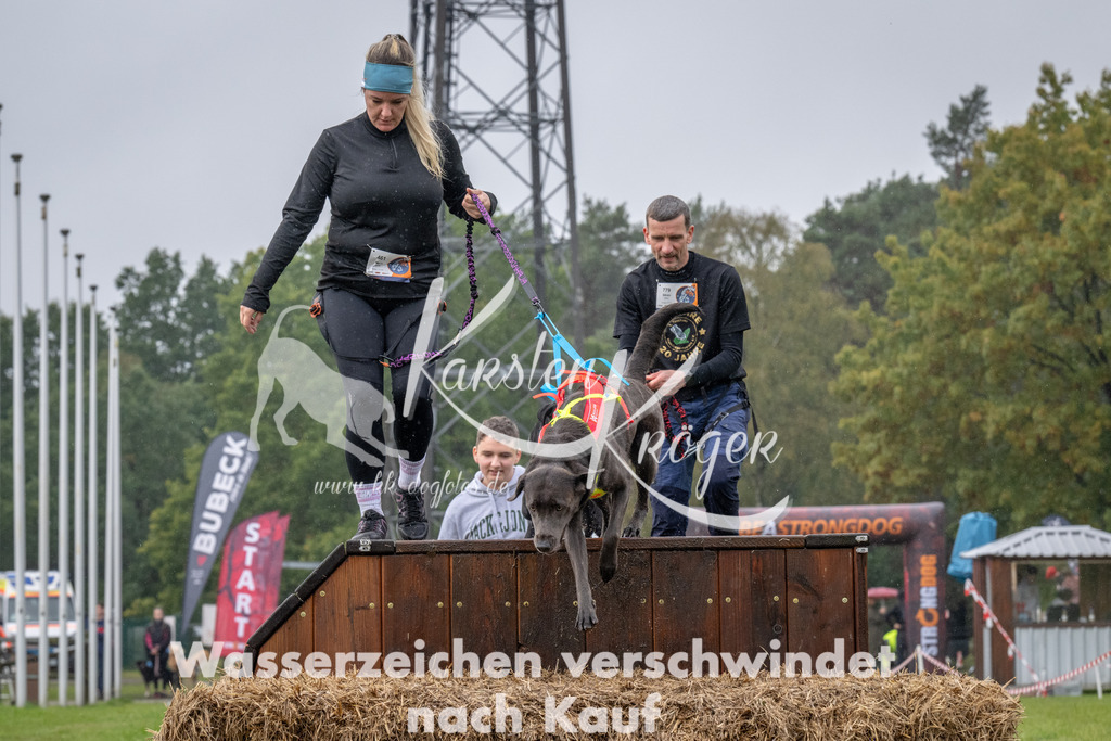 1323-93562 | kk-dogfotos