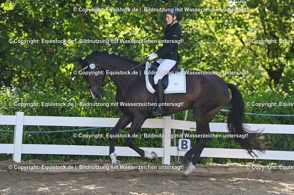 20230715_06_Dressurpferdeprfg. Kl.A_0379 | equistock