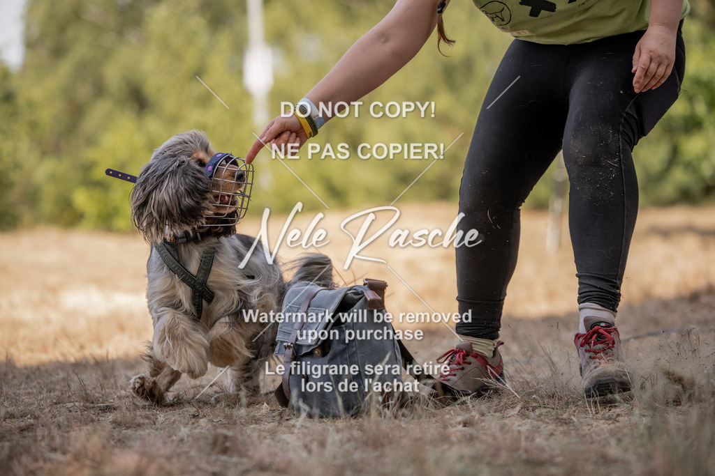 nelerasche_soDD2_359 | nelerasche