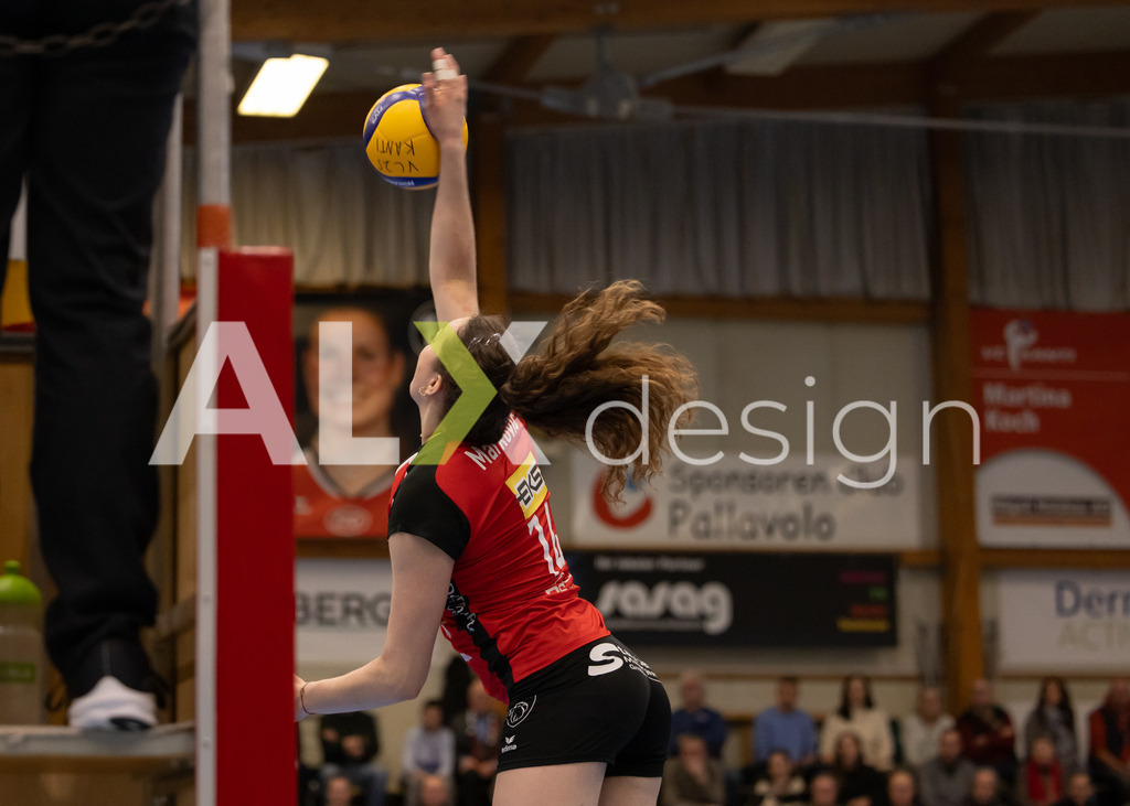Volleyball I Frauen I Saison 2025-2026 I Volleyball NLA | Women I 1/4 Finals I VC Kanti Schaffhausen - BIWI Volleyball Franches-Montagnes I 21.02.2026 | 14 Josipa Marković (HR) (VC Kanti Schaffhausen) – Aussen - Realisiert mit Pictrs.com