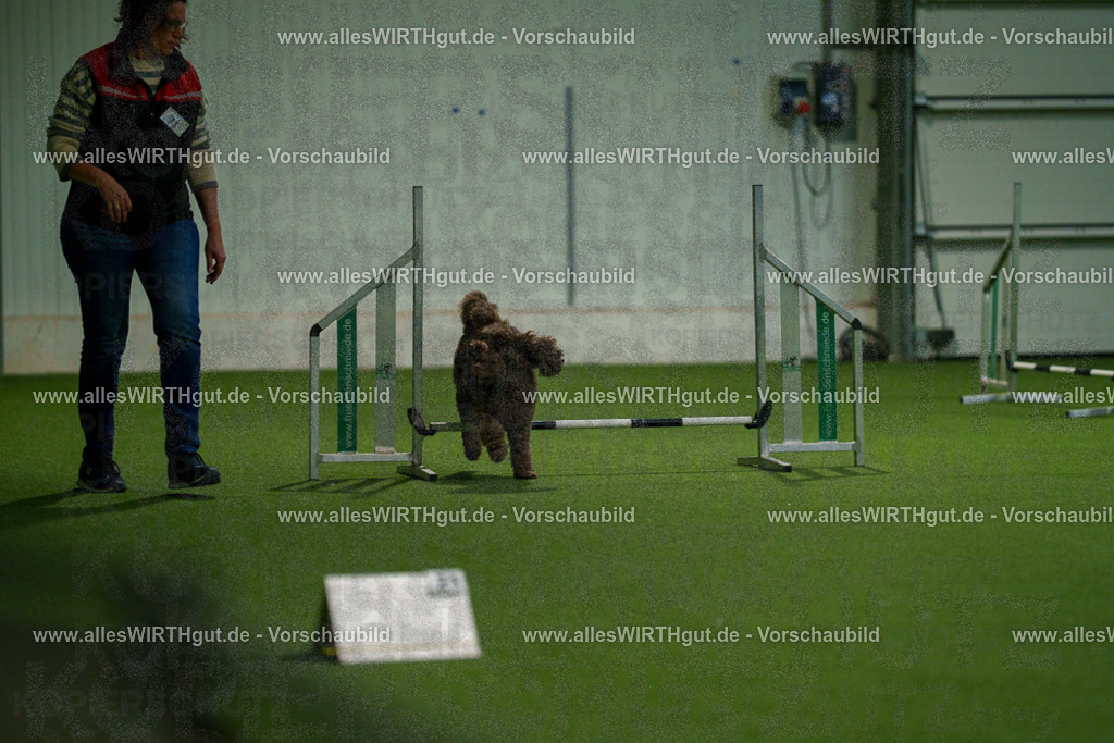 7R508379 | Professionelle Tierfotografie in Mönchengladbach von Daniel Wirth (allesWIRTHgut). Liebevolle & natürliche Bilder von Hunden & Katzen für unvergessliche Erinnerungen.