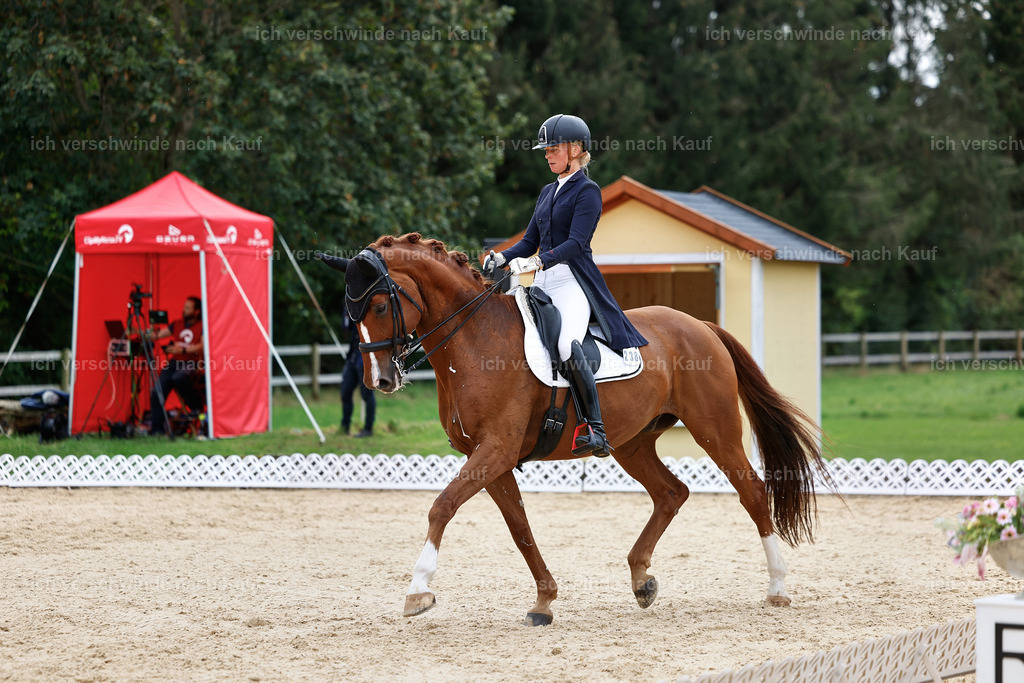 11-238-Dressur S___-StoibPH-992 | working equitationturnier fotograf videograf stoibphotography marixx film working equitation deutschland reitsport turnierfotografie eventfotografie equestrian events