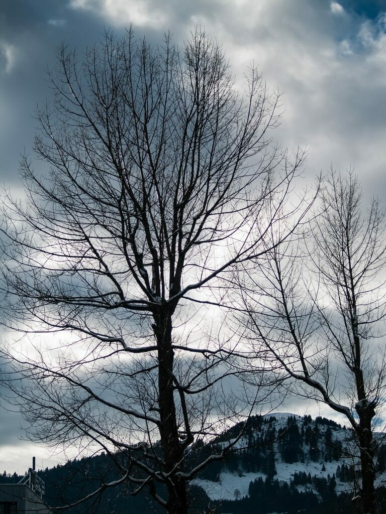 PSX_20221214_230656 | mtkfoto_ - Realisiert mit Pictrs.com