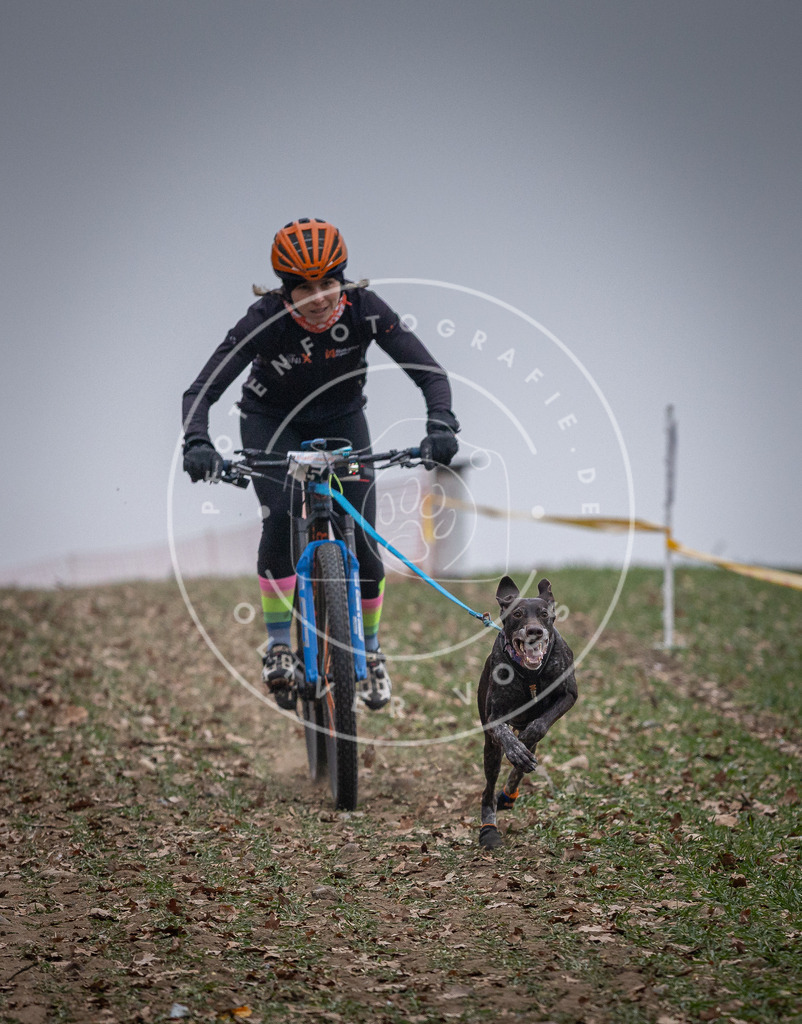 Pfotenfotografie_DV3A1008 | Hundefotografie, Tierfotograf, Pfotenfotografie, Fotoshooting Hund, Hunde Portrait, Hundesport, Hundeportraits, Heideshooting, Hunde, Sportfotograf, Hundefotograf, Turnierhundsport, THS,  - Realisiert mit Pictrs.com