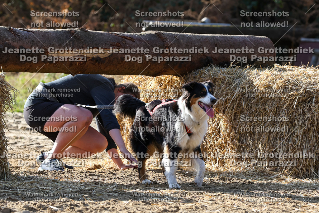 Dog Paparazzi - Strongdog 10-25-6007 | Dog Paparazzi Jeanette Grottendiek Fotografie & Videografie - Realisiert mit Pictrs.com