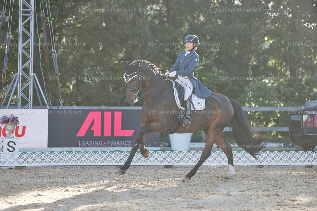 09_1-200-DRESSUR  S_  -StoibPH-5533 | working equitationturnier fotograf videograf stoibphotography marixx film working equitation deutschland reitsport turnierfotografie eventfotografie equestrian events