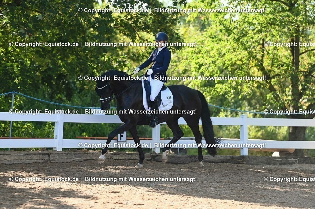 20230715_06_Dressurpferdeprfg. Kl.A_0255 | equistock