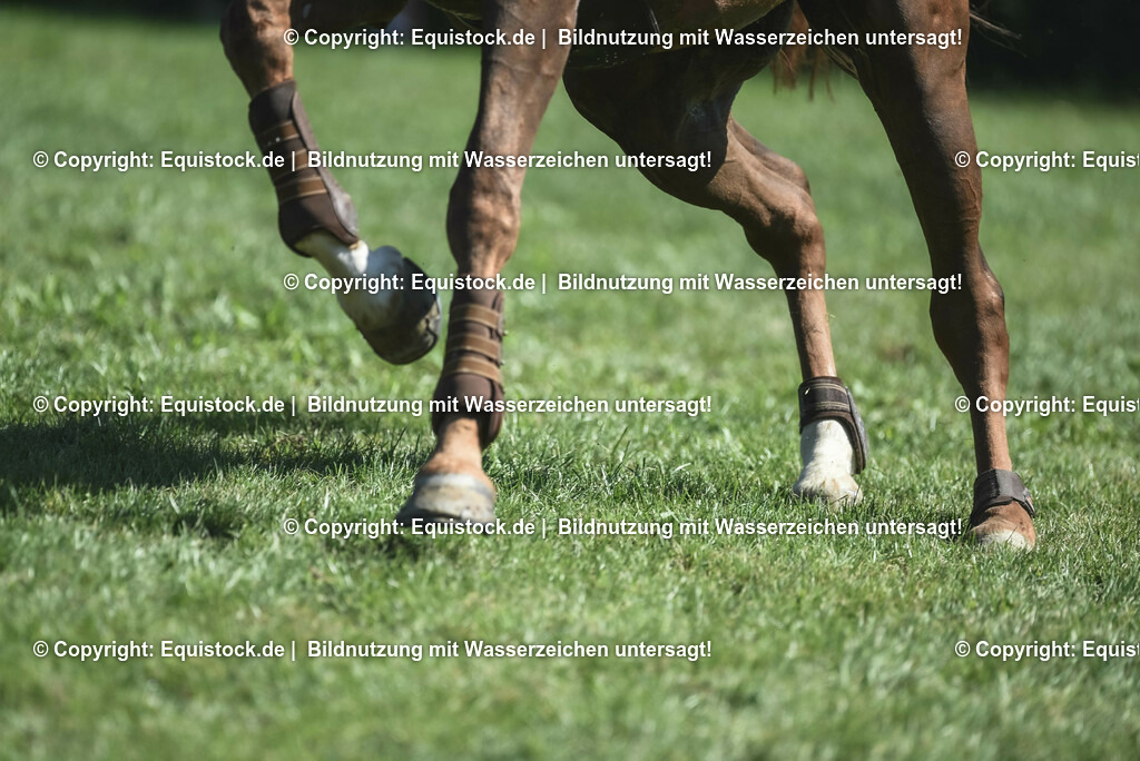 20230909_22_Springen_M_0046 | Foto: Thomas Hartig