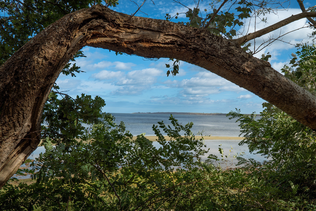 Hohenwieschendorf im Spätsommer | Ein Vormittag im Spätsommer 2023 an der Steilküste vor Hohenwieschendorf in Mecklenburg-Vorpommern.  - Realisiert mit Pictrs.com