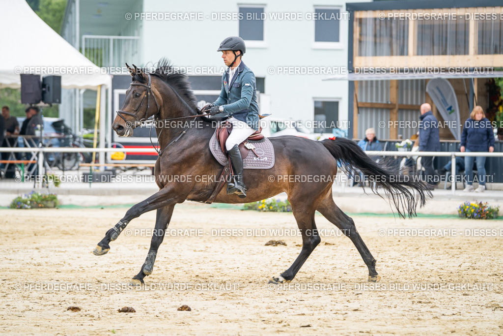 DSC00281 | Pferdegrafie