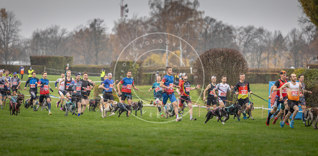 CaniXpix_DV3A9440 | Hundefotografie, Tierfotograf, Pfotenfotografie, Fotoshooting Hund, Hunde Portrait, Hundesport, Hundeportraits, Heideshooting, Hunde, Sportfotograf, Hundefotograf, Turnierhundsport, THS,  - Realisiert mit Pictrs.com