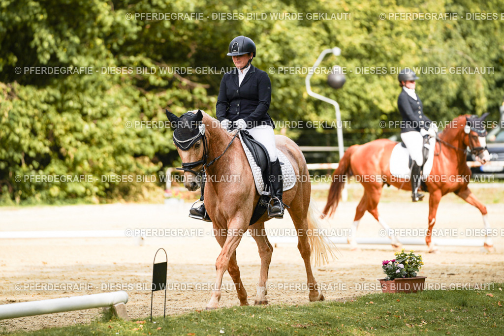 DSC02961 | Pferdegrafie