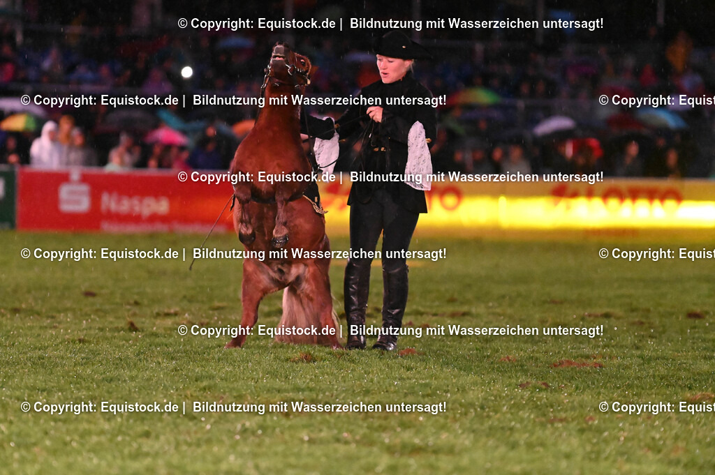 20240517_Lange-Pferdenacht_0680 | Foto: Thomas Hartig