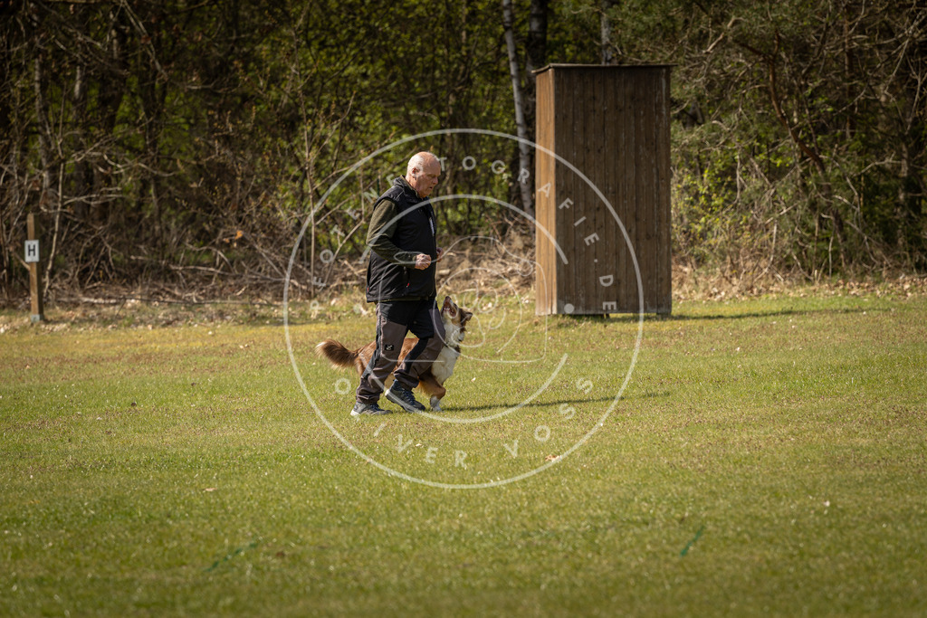 Pfotenfotografie_DV3A1333 | Hundefotografie, Tierfotograf, Pfotenfotografie, Fotoshooting Hund, Hunde Portrait, Hundesport, Hundeportraits, Heideshooting, Hunde, Sportfotograf, Hundefotograf, Turnierhundsport, THS,  - Realisiert mit Pictrs.com