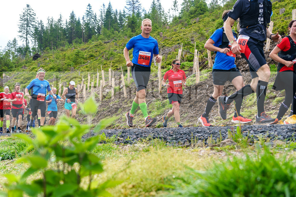Rennsteiglauf Marathon 2024 | 25. Mai 2024 - 42,2 km von Neuhaus nach Schmiedefeld