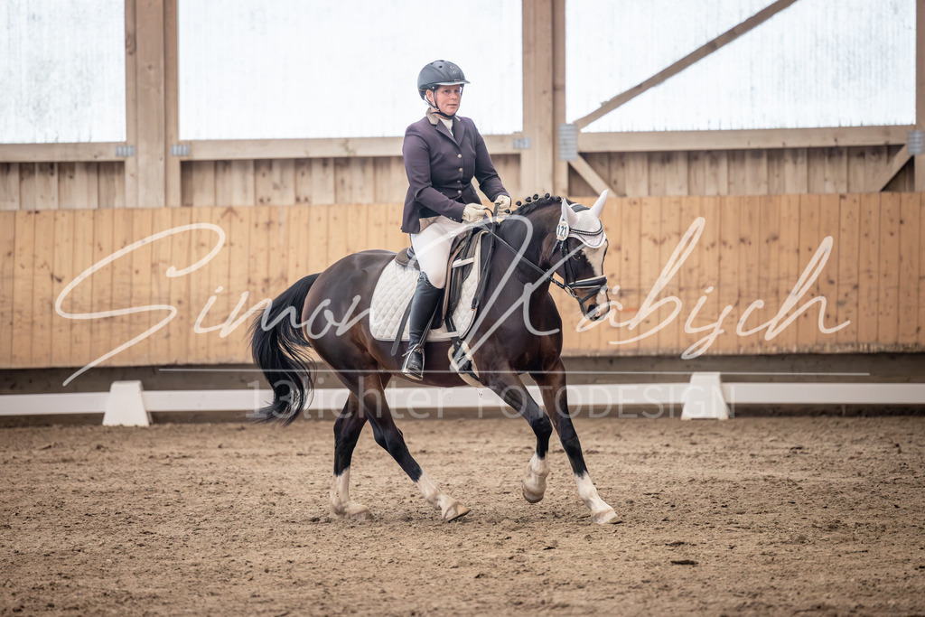 20251011-_3LI0513 | Tierfotografie Pferde, Hunde, Katzen, Haustiere.
Turnierfotografie Reitturniere, Reiten, Springreiten, Dressur in Hanau, dem Main-Kinzig-Kreis und dem Rhein-Main- Gebiet um Frankfurt