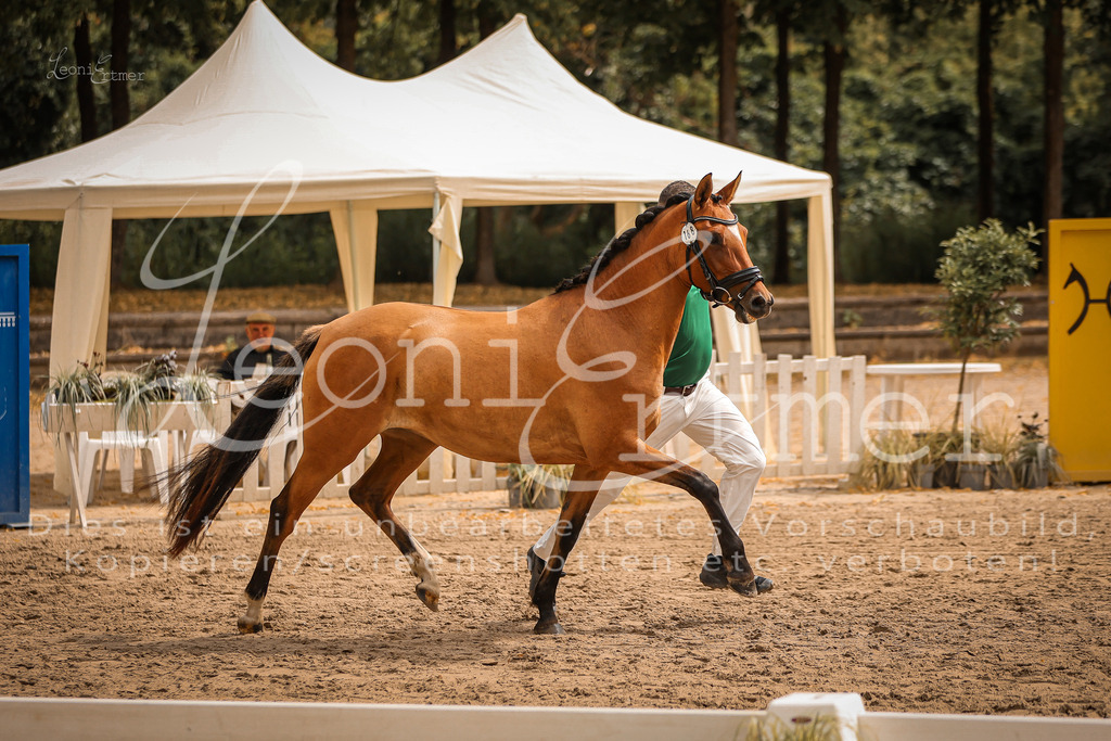 11.So00055 | Leoni Ertmer Photography - Realisiert mit Pictrs.com