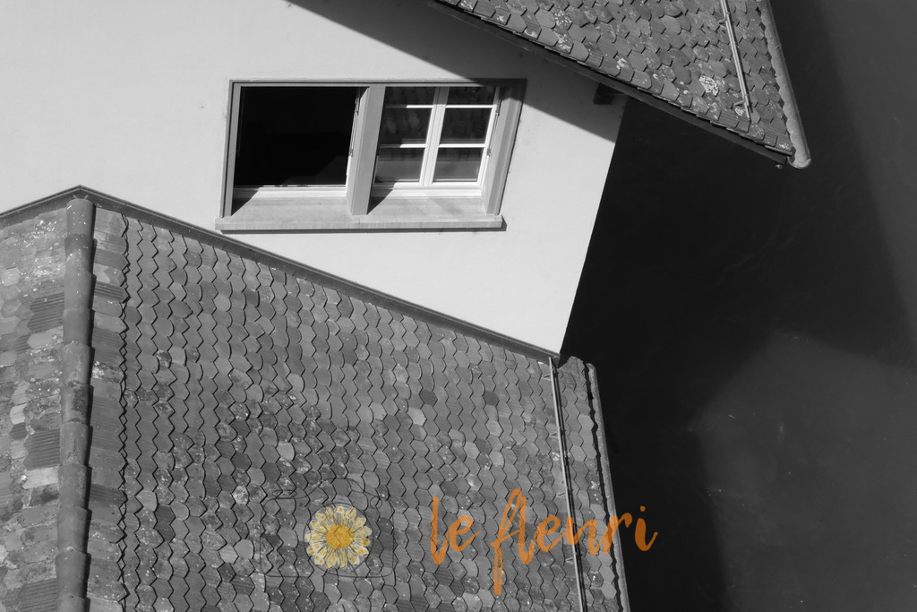 Experiment mit s/w | Dies ist der Shop von Florian Blum - le fleuri. Langenthal, Bern, Schweiz. Sie können hier meine oder ihre eigenen Fotos als Fotoprodukte kaufen. Tassen, Schlüsselanhänger, Taschen etc. können Sie hier gestalten.  - Realisiert mit Pictrs.com