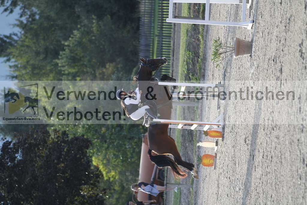 _MG_6226 | equestrian-live-com