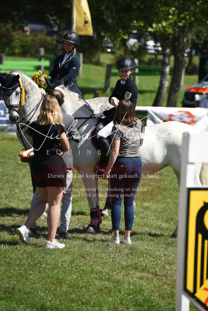 DSC_9642 | Pferde- und Turnierfotografie in Westsachsen. Pferdeportraits, Auftragszeichnungen und intuitive Kunst.