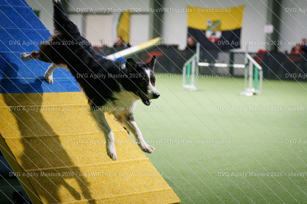 allesWIRTHgut_Tierfotografie-DVG_Agility_Masters_2026-16_50-7R508823 | Professionelle Tierfotografie in Mönchengladbach von Daniel Wirth (allesWIRTHgut). Liebevolle & natürliche Bilder von Hunden & Katzen für unvergessliche Erinnerungen.