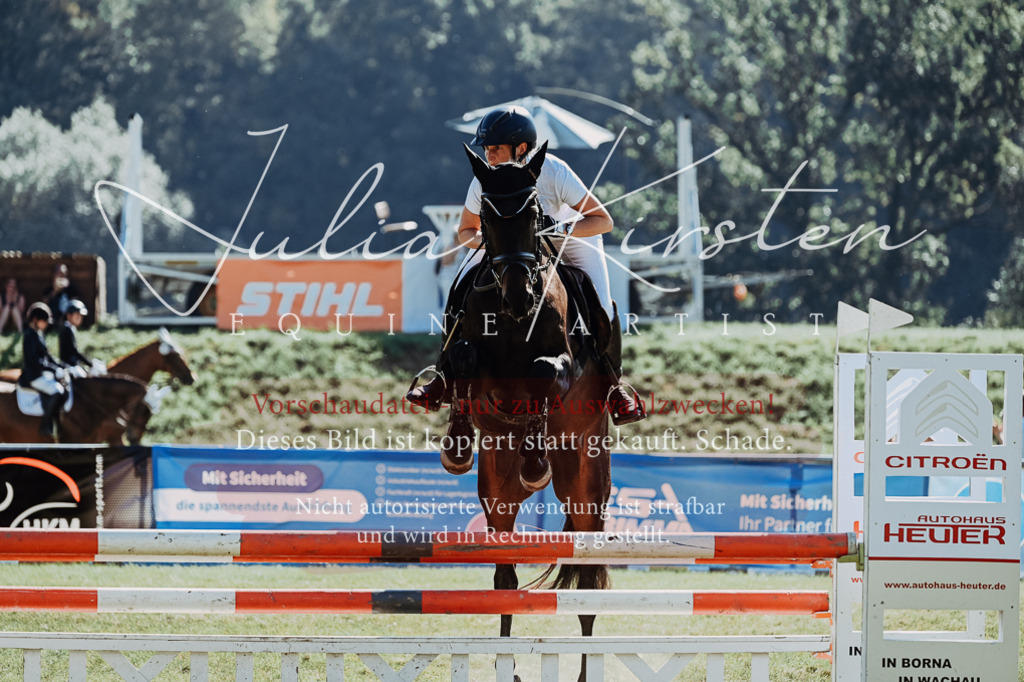 DSC_5679 | Pferde- und Turnierfotografie in Westsachsen. Pferdeportraits, Auftragszeichnungen und intuitive Kunst.