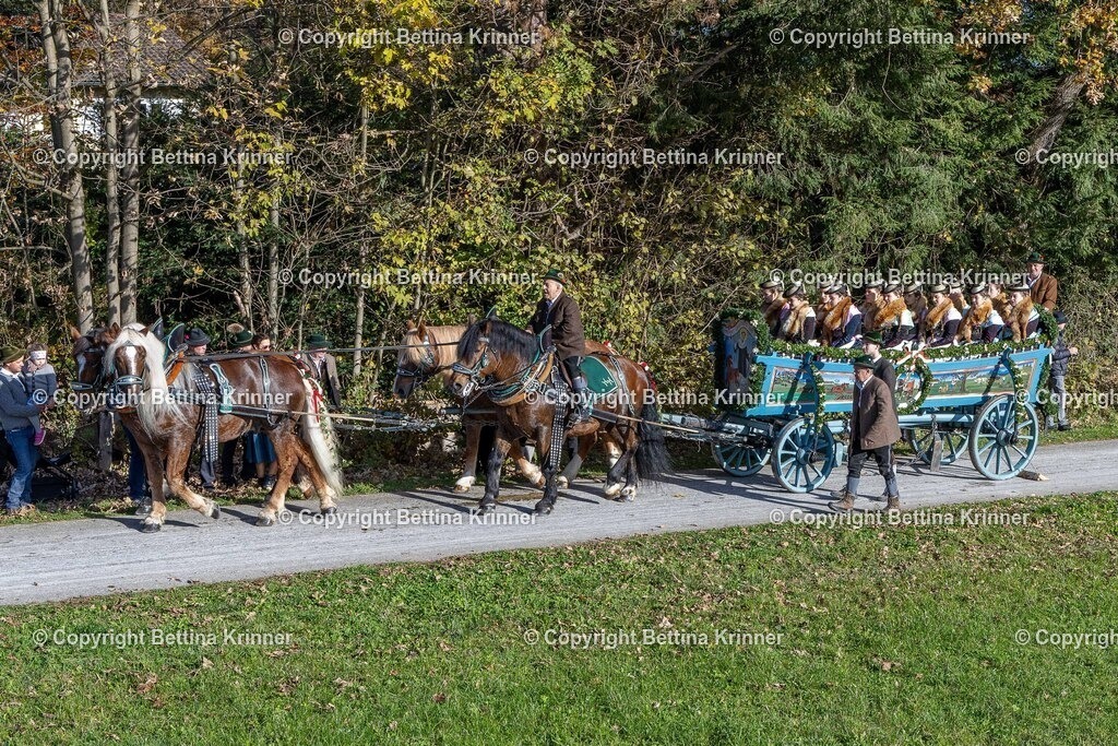 LBT24-810 | foto-bettina-krinner - Realisiert mit Pictrs.com