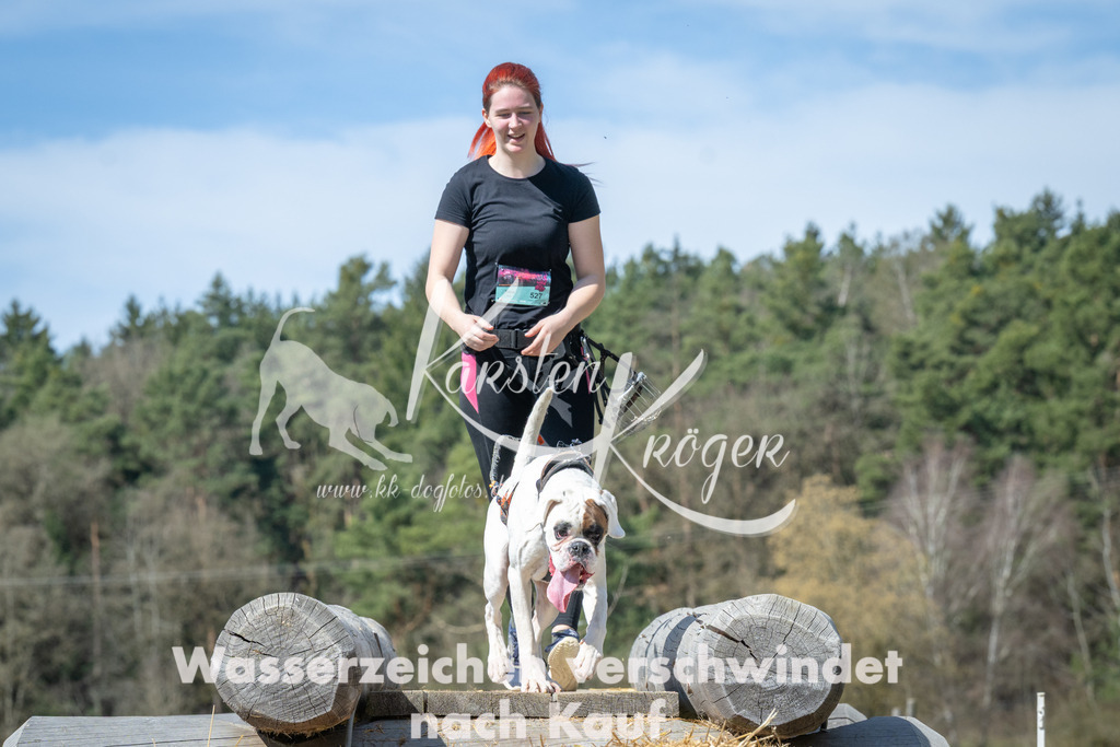 1219_ZZ99263 | kk-dogfotos