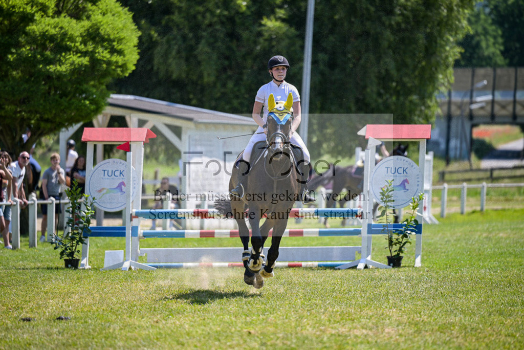 Reitturnier Voxtrup | Entdecke hochwertige Reitturnierfotos von Foto Oger. Professionell, emotional und authentisch – jetzt Lieblingsmomente im Shop bestellen.Deutschlandweite Turnierfotografie. - Realisiert mit Pictrs.com
