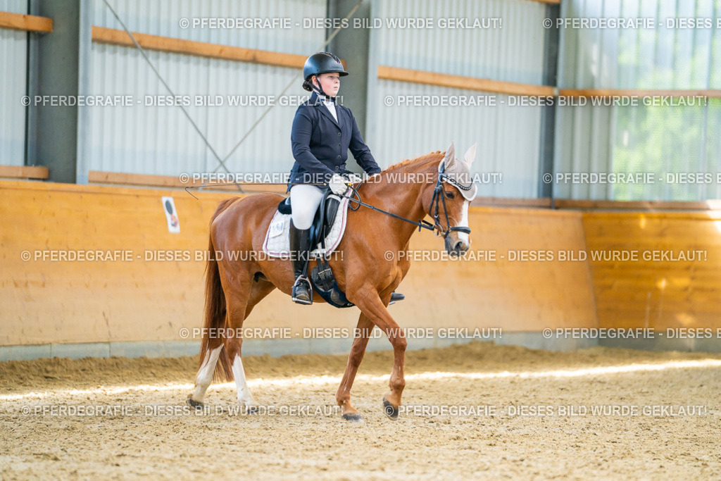 DSC08682 | Pferdegrafie