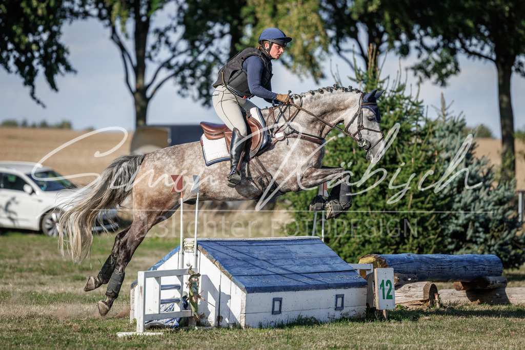20260905-_3LI0663 | Tierfotografie Pferde, Hunde, Katzen, Haustiere.
Turnierfotografie Reitturniere, Reiten, Springreiten, Dressur in Hanau, dem Main-Kinzig-Kreis und dem Rhein-Main- Gebiet um Frankfurt