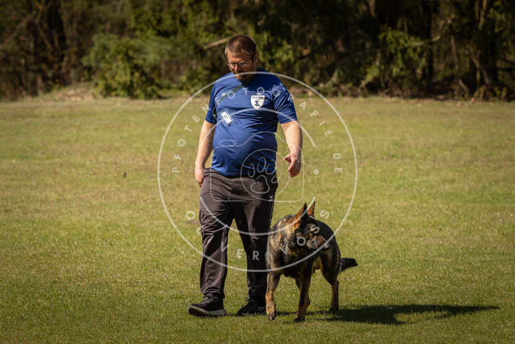 Pfotenfotografie_DV3A0820 | Hundefotografie, Tierfotograf, Pfotenfotografie, Fotoshooting Hund, Hunde Portrait, Hundesport, Hundeportraits, Heideshooting, Hunde, Sportfotograf, Hundefotograf, Turnierhundsport, THS,  - Realisiert mit Pictrs.com