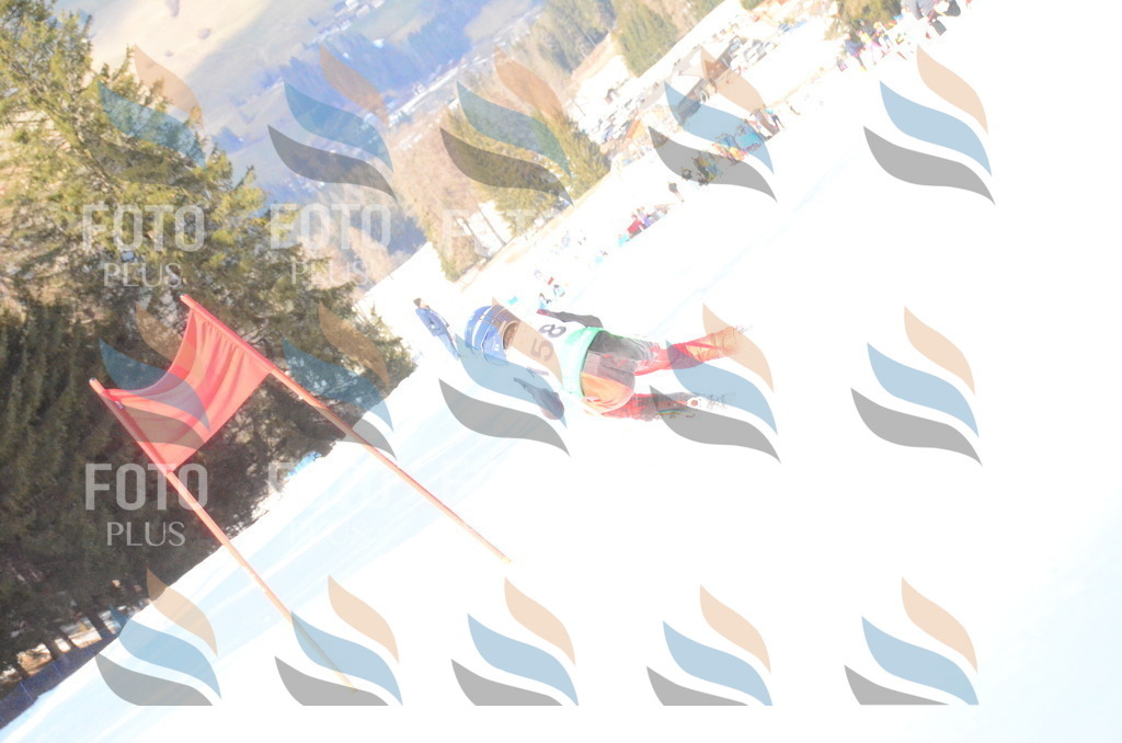 C8252 | holidayphoto