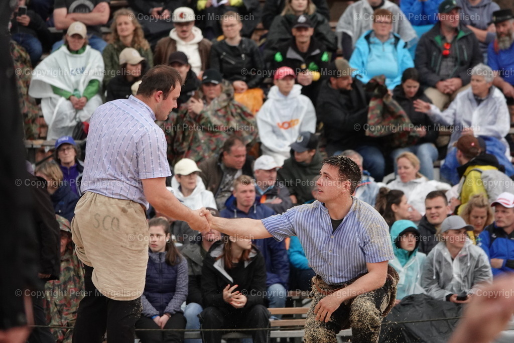 DSC03713 | Schwingen - Realisiert mit Pictrs.com