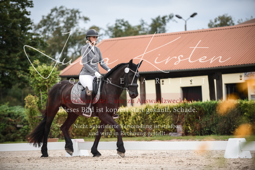 DSC_8320 | Pferde- und Turnierfotografie in Westsachsen. Pferdeportraits, Auftragszeichnungen und intuitive Kunst.