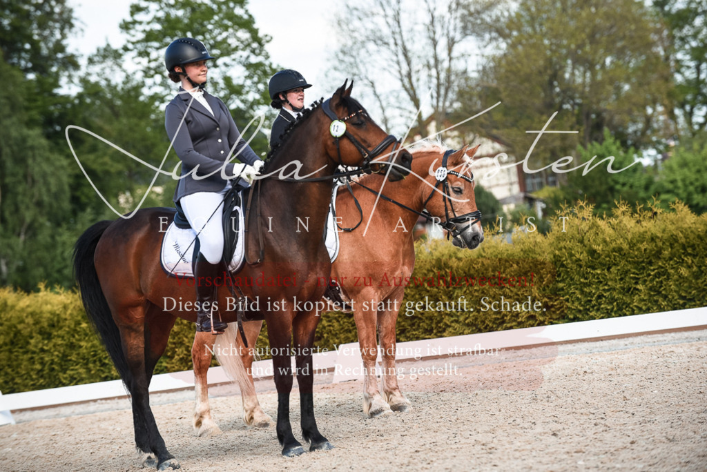 20230518_JK-Röhrsdorf-12-1122 | Pferde- und Turnierfotografie in Westsachsen. Pferdeportraits, Auftragszeichnungen und intuitive Kunst.