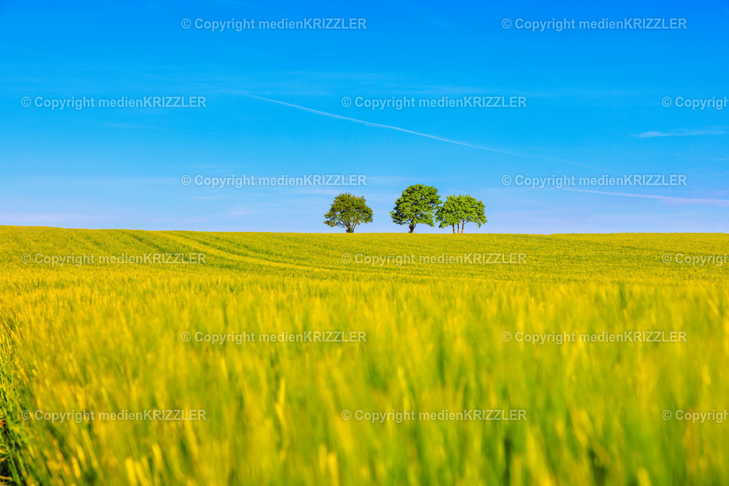 _J3A7858 | medienkrizzler - Realisiert mit Pictrs.com