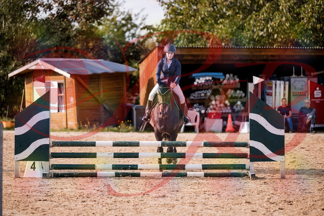 2026_10_03_Siefer-Hof_160119_Z81_81982264 | Professionelle Reitsport-, Turnier- und Eventfotografie von Robert Broda. Galerien mit ausgewählten und bearbeiteten Bildern direkt online ansehen und bestellen.