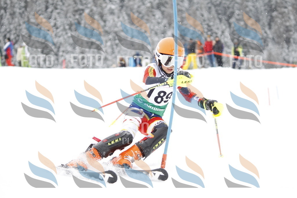 A2110 | holidayphoto