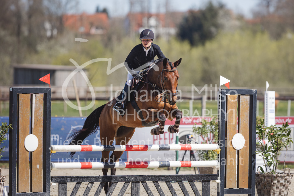 220416_3_A-Springen2-447 | Frühlingsfest der Pferde
Herford
16.April 2022
03/2 Sprigprüfung mit steigenden Anforderungen Kl. A** geschlossen 44-481 RLP
