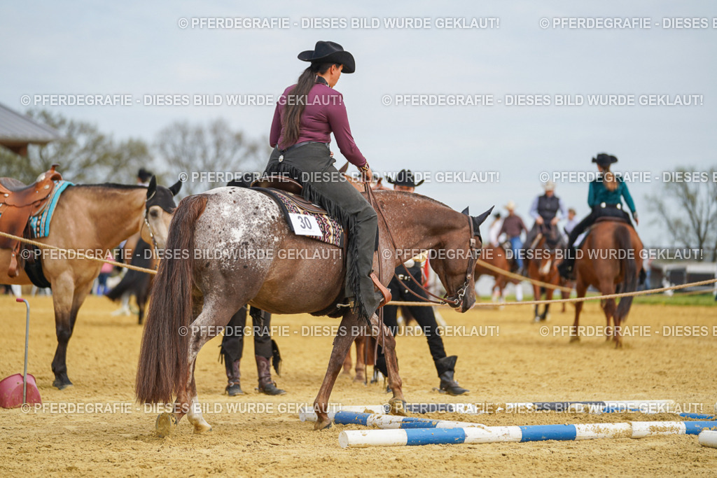 DSC03471 | Pferdegrafie