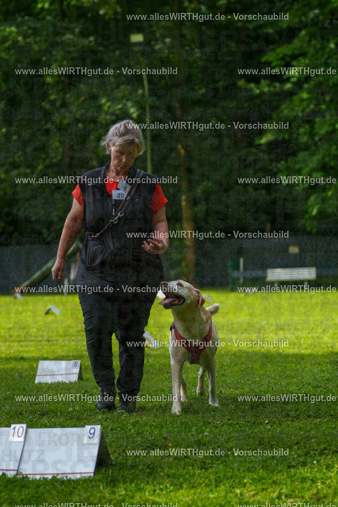 @allesWIRTHgut_Tierfotografie - www.allesWIRTHgut.de - 7R502234 | Professionelle Tierfotografie in Mönchengladbach von Daniel Wirth (allesWIRTHgut). Liebevolle & natürliche Bilder von Hunden & Katzen für unvergessliche Erinnerungen.