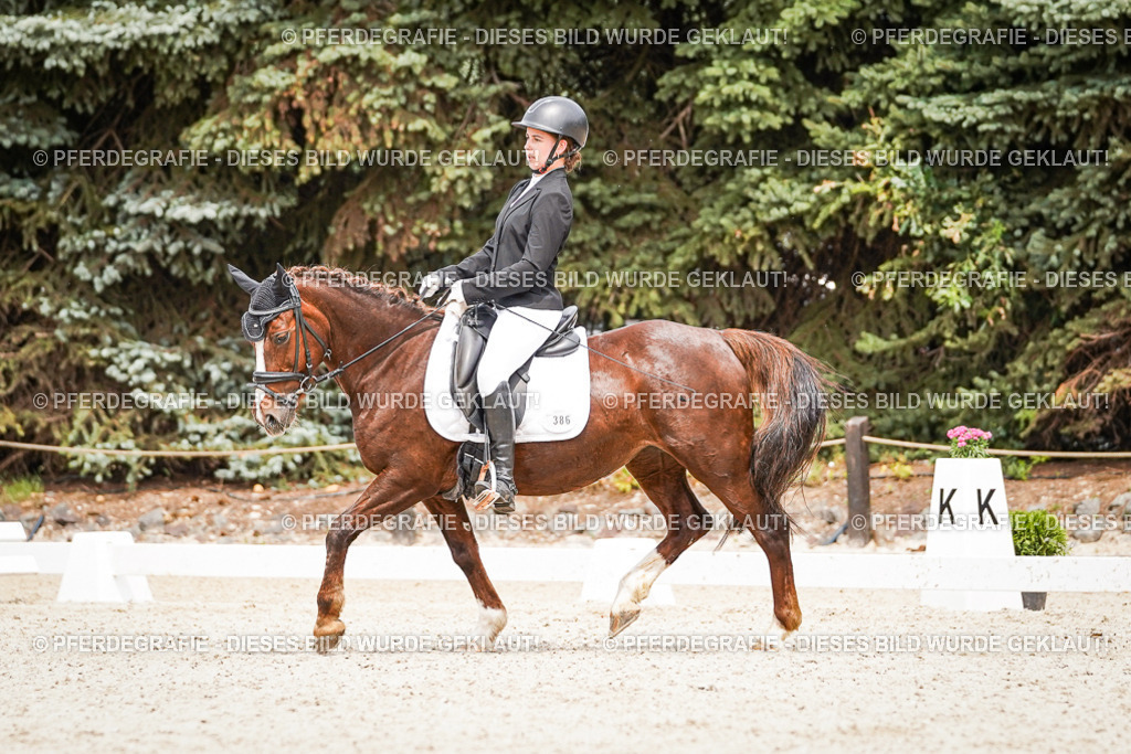 DSC04474 | Pferdegrafie