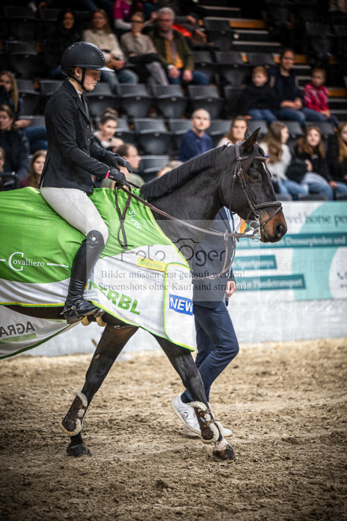 DOS_0032 | Entdecke hochwertige Reitturnierfotos von Foto Oger. Professionell, emotional und authentisch – jetzt Lieblingsmomente im Shop bestellen.Deutschlandweite Turnierfotografie. - Realisiert mit Pictrs.com